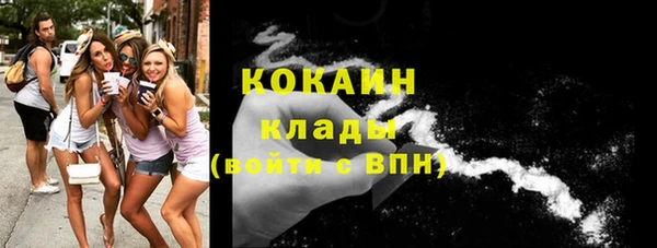 ПСИЛОЦИБИНОВЫЕ ГРИБЫ Каменногорск