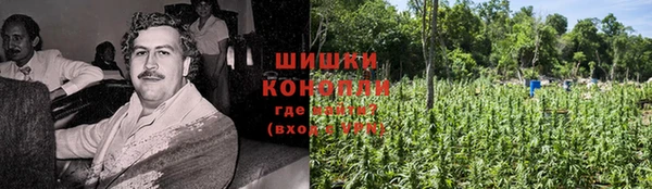 дживик Иннополис