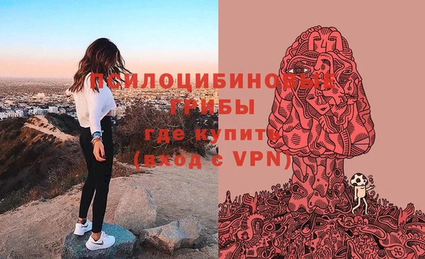 ПСИЛОЦИБИНОВЫЕ ГРИБЫ Каменногорск