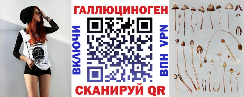 Купить где  Высоцк  Галлюциногенные грибы мицелий 